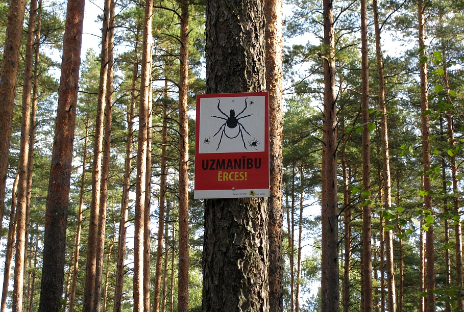 Ērču brīdinājuma zīme mežā