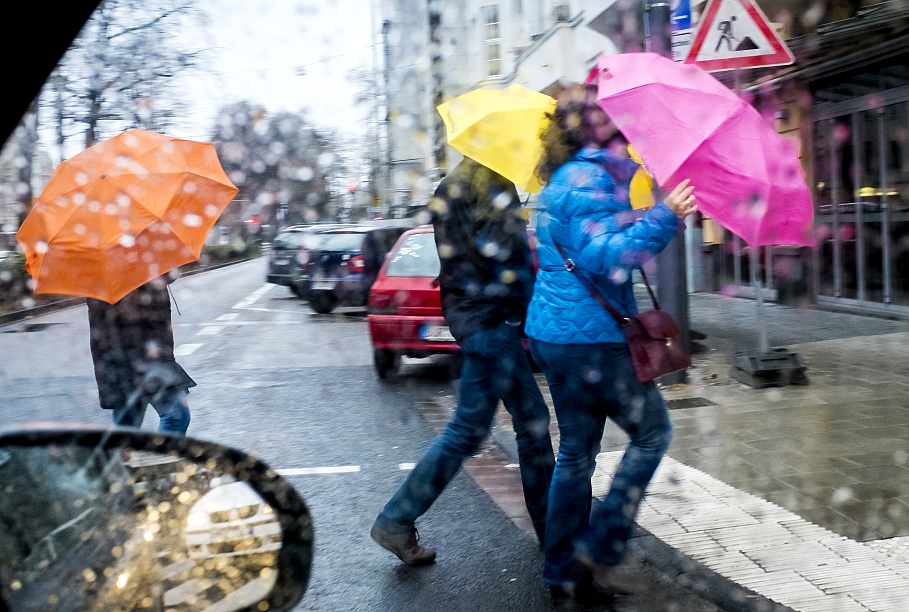 Погода в воскресенье: целый день ветер и дождь