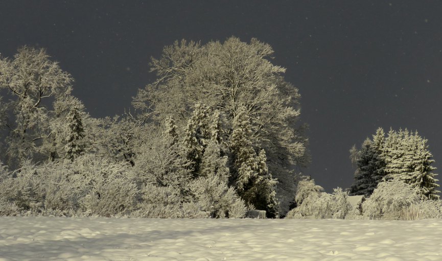 Piektdien ar pārtraukumiem turpinās snigt, vairāk Latvijas austrumos