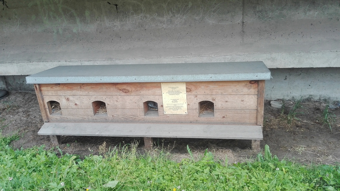 Dzīvnieku SOS&quot; kaķu māja pie Zemitāna tilta Rīgā