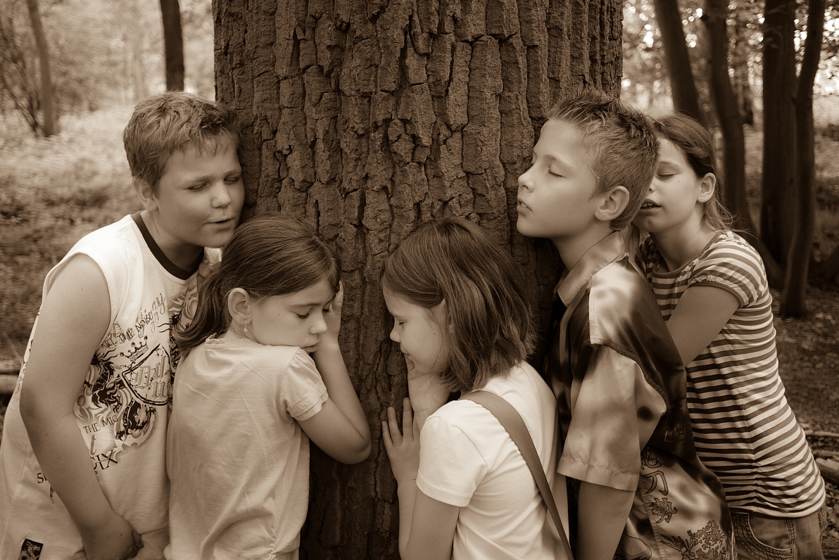 Bomen tekenen op de Schone PLek met een groepje kinderen van basisschool De Belboom, Schinveld.