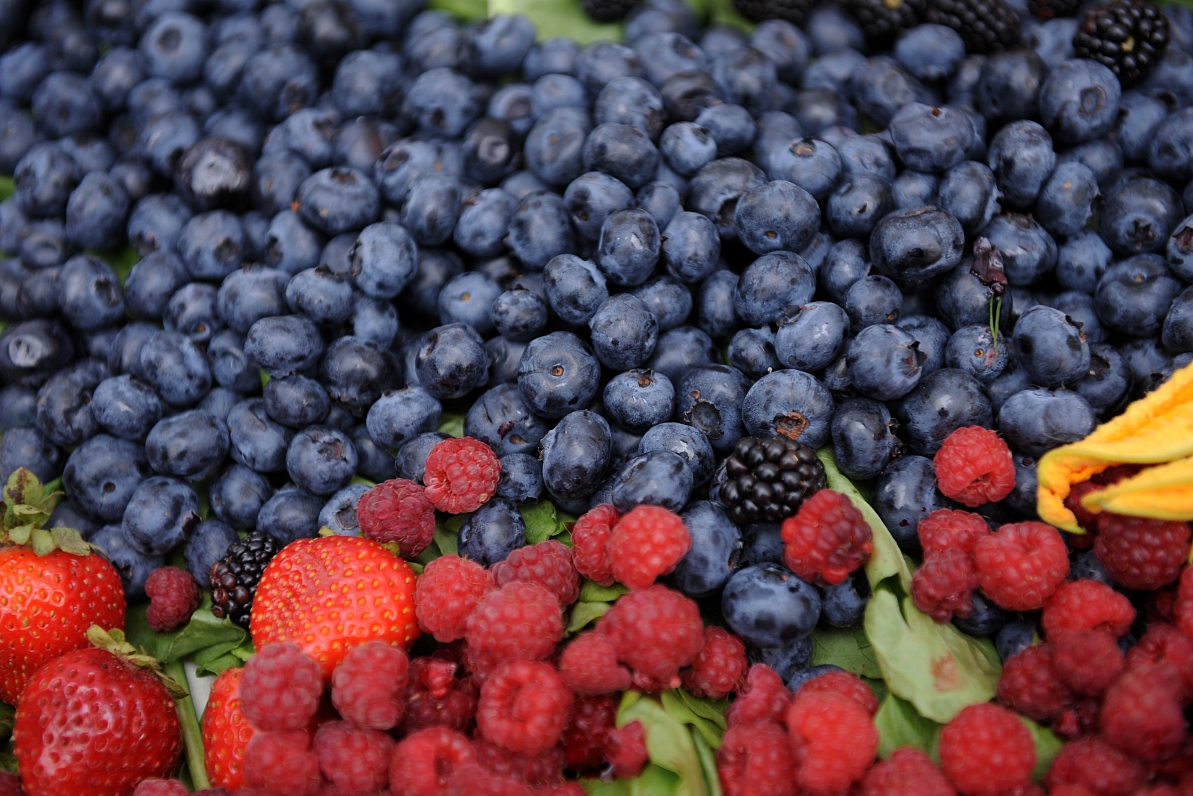 Scientists unlock healing substances in berries