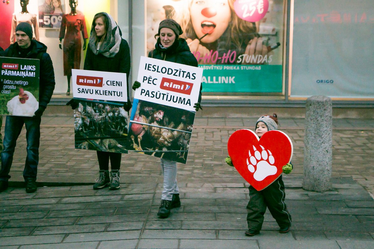 Animal rights activists to stage march in Riga / Article
