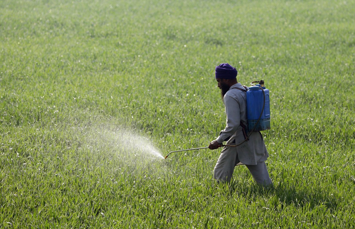 Pesticīdus izmanto visā pasaulē - malā nepaliek arī indiešu zemnieks