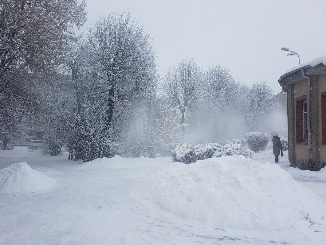 Погода лосиный свердловская. Белград зимой в феврале снег температура.