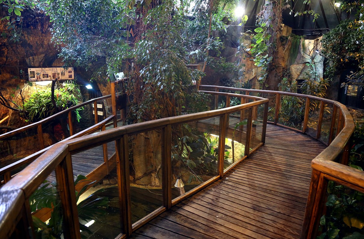 Тропический дом в Рижском зоопарке. Иллюстративное фото
