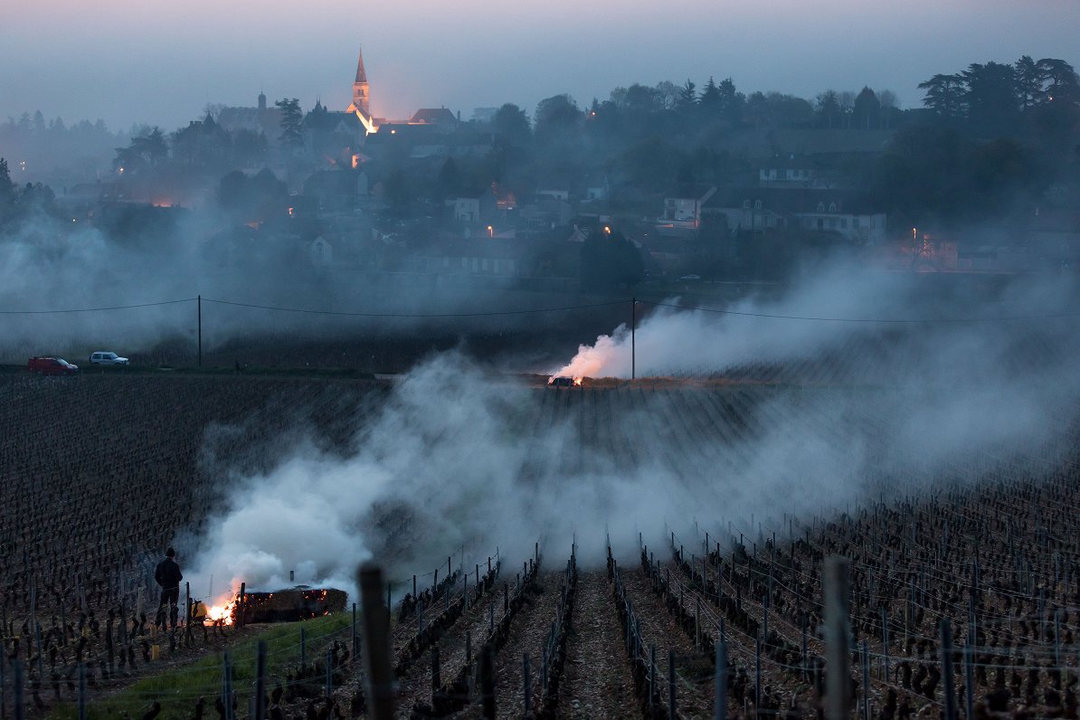 Pērn Francijā ar dūmu svecēm no aukstuma augus centās pasargāt arī Francijas vīnogu audzētāji.