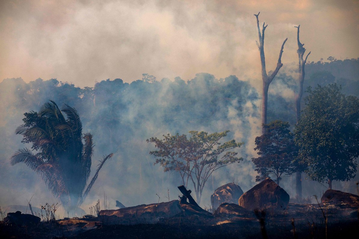 Meža ugunsgrēks Brazīlijā. 27.08.2019