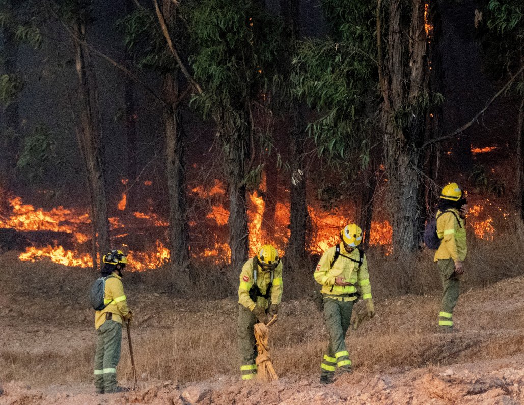 Meža ugunsgrēks Spānijas dienvidos 12.09.2019