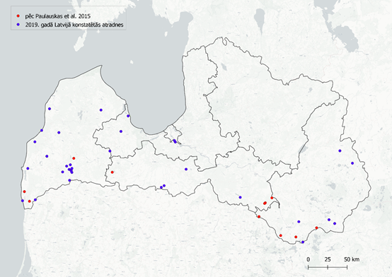 Ornamentātēs pļavērces izplatība Latvijā 2013.-2014. g. (sarkanie punkti) un 2019. gadā (zilie punkt...