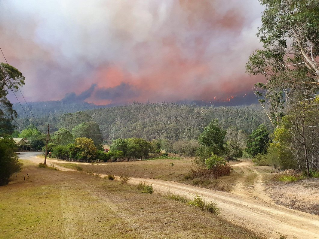 Savvaļas ugunsgrēki Austrālijā, 2020.gada janvāris