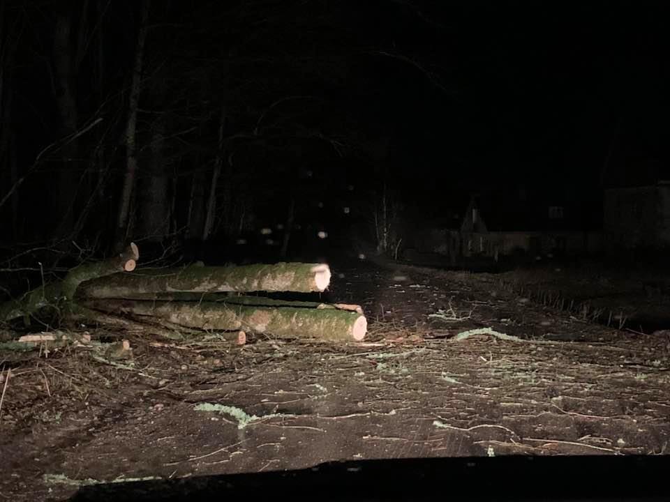 Vētras lauzti koki uz ceļa Ilmāja-Priekule-Gramzda, 12.03.2020.