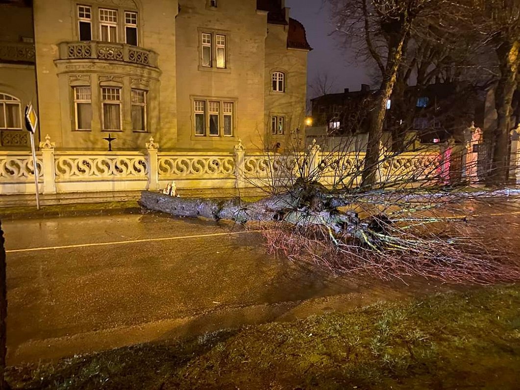 Vētras lauzts koks Liepājā.