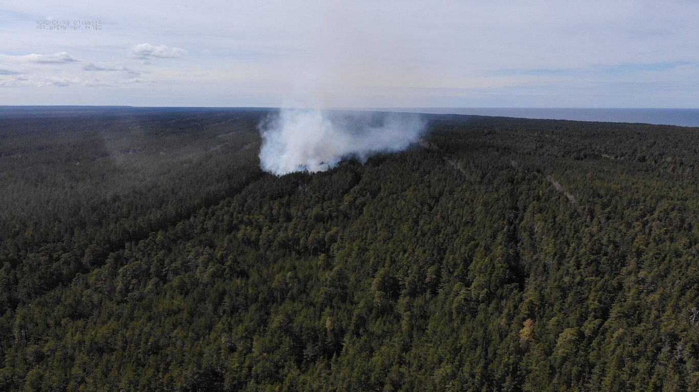 Meža ugunsgrēks Slīteres Nacionālajā parkā, 2020.gada aprīlis