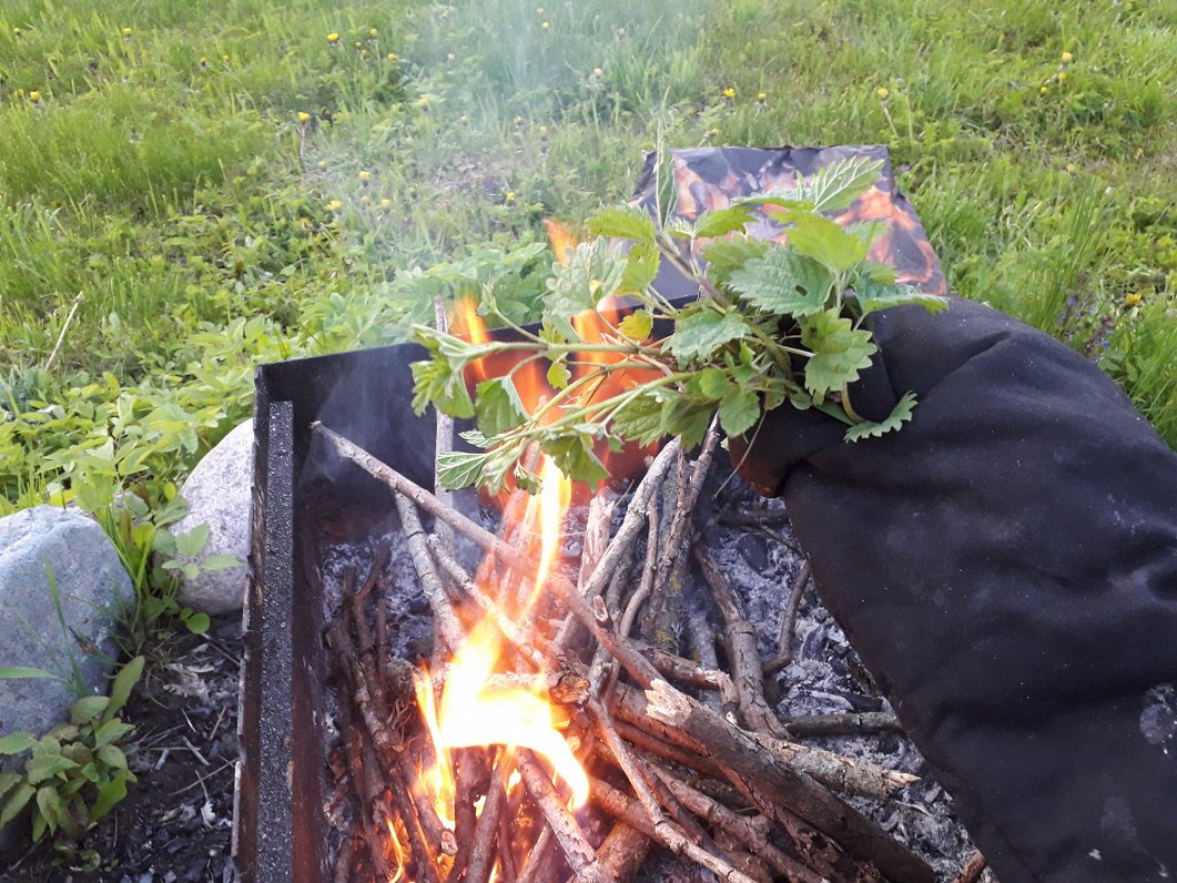 Nettles being grilled