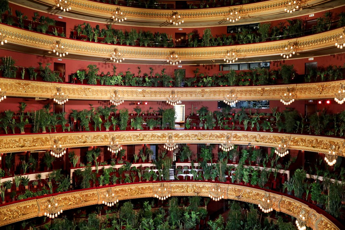 Barselonas opera atver durvis ar koncertu augiem (22.06.20)
