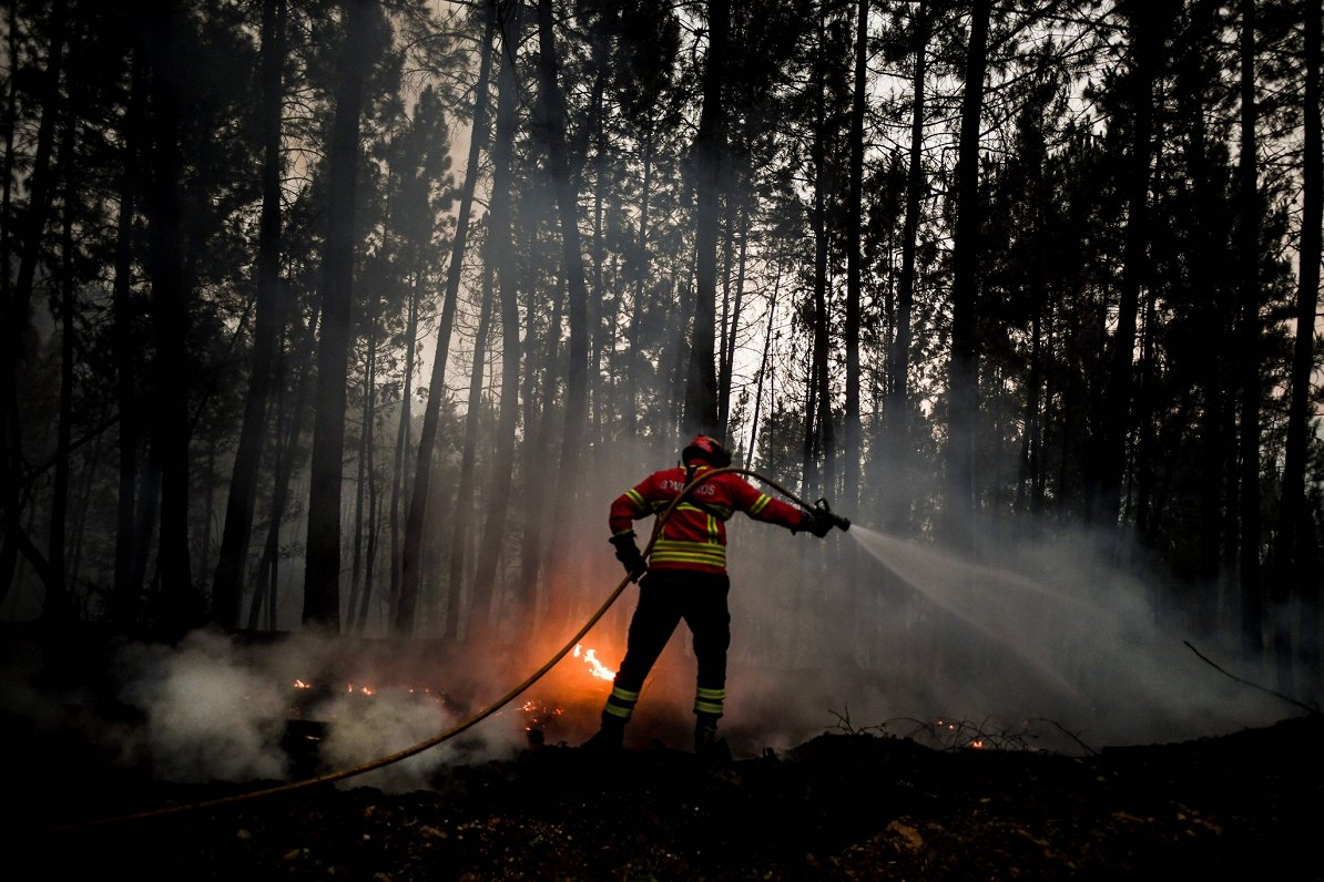 Meža ugunsgrēks netālu no Isnas ciemata, Kastel Branko reģionā Portugālē. 2020. gada 26. jūnijs.