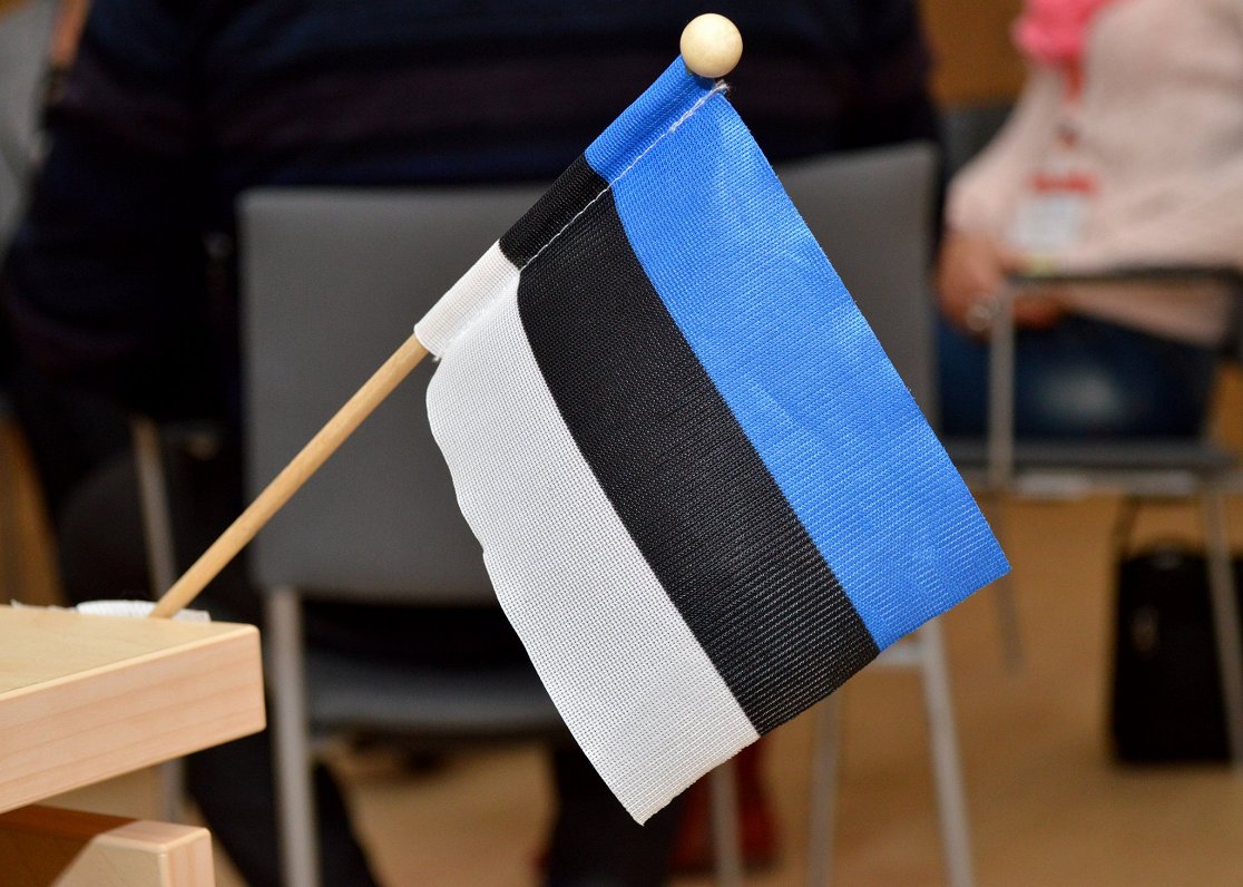 Igaunijas karodziņš. Attēls ilustratīvs.