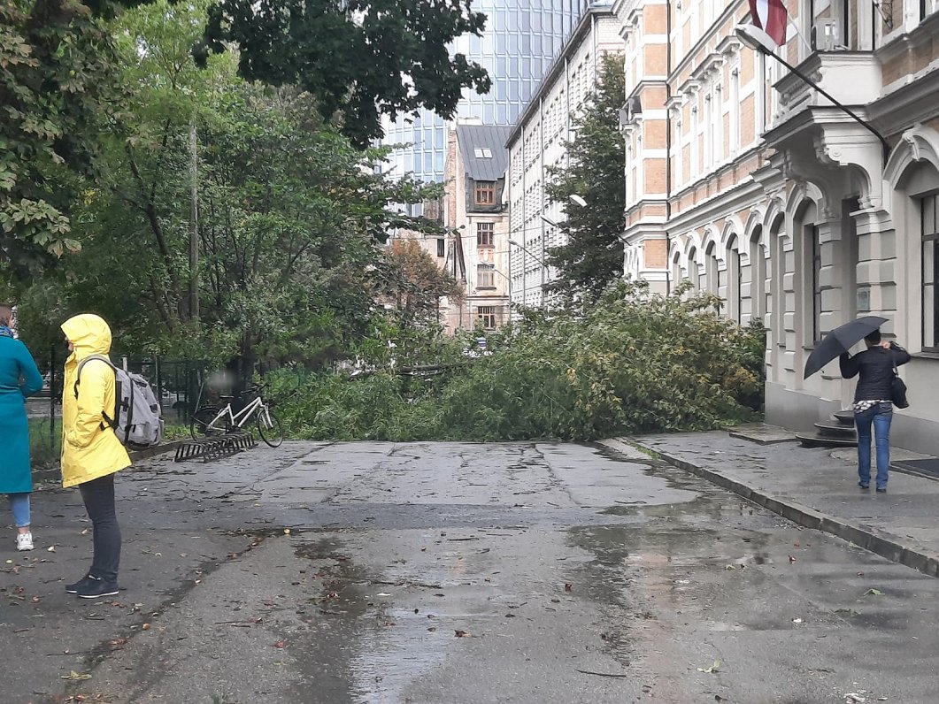 Vētras postījumi Rīgā, Meža ielā. 2020. gada 17. septembris.