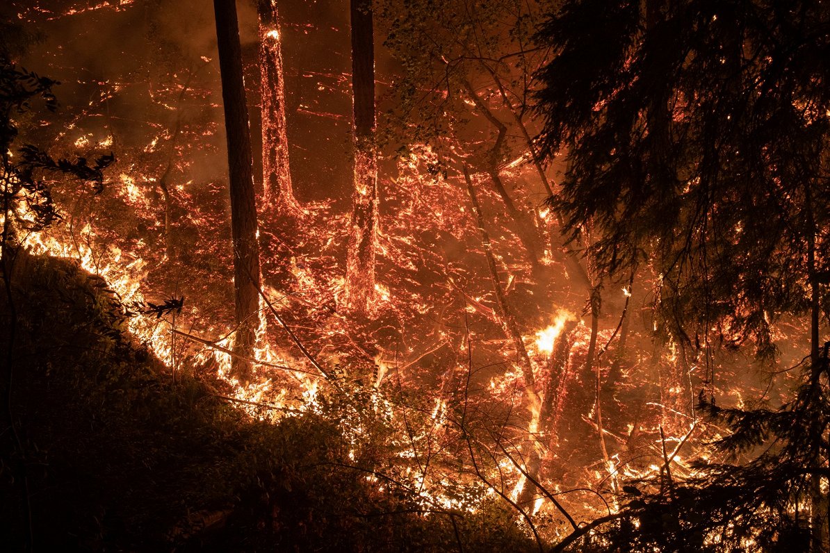 Savvaļas ugunsgrēks Kalifornijā