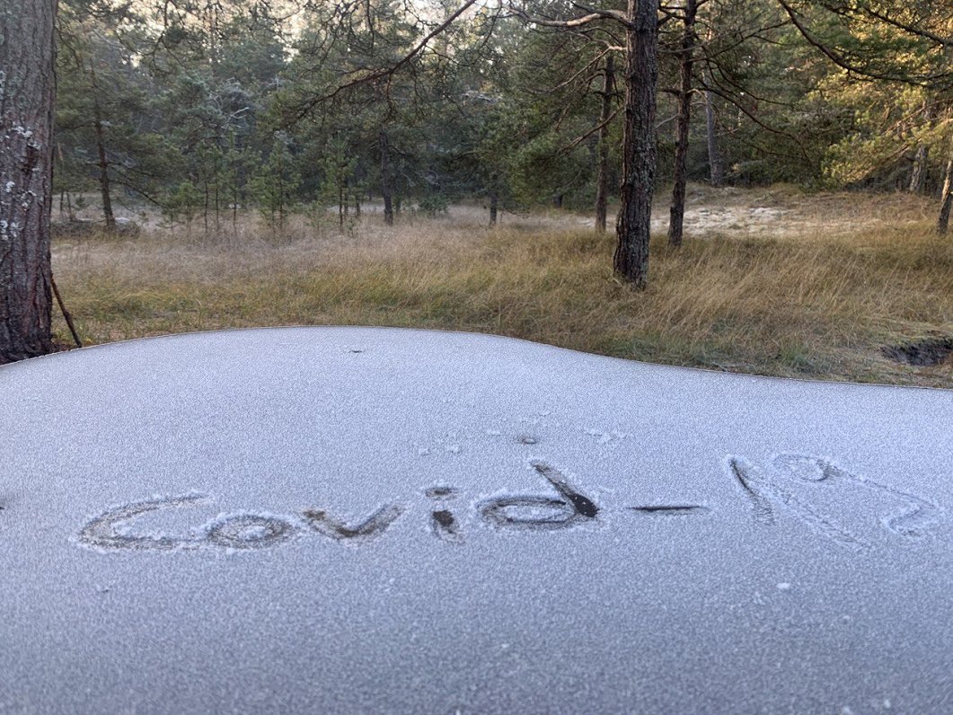 Covid-19 uzraksts uz dēļa mežā