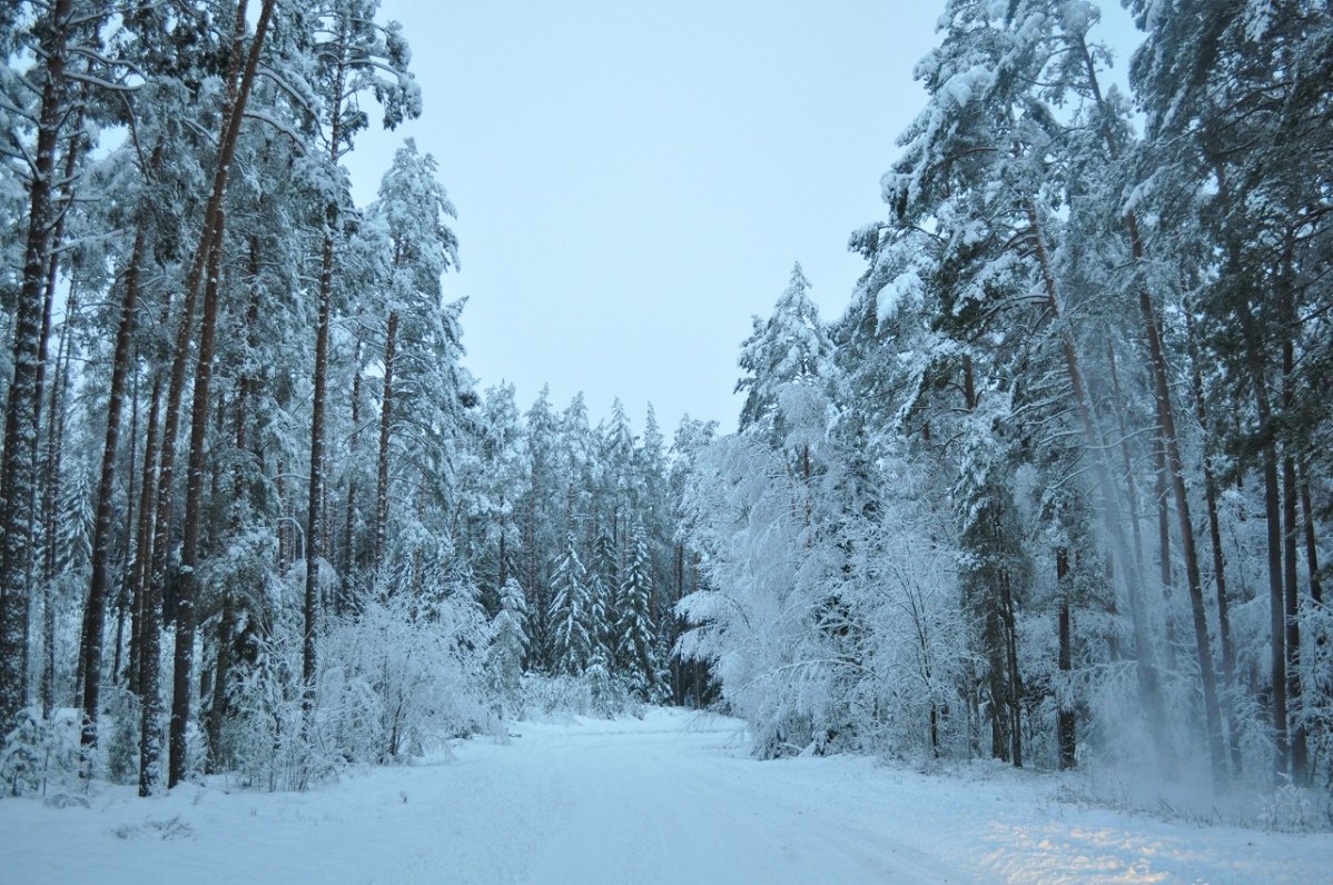 Nākamnedēļ daudzviet Latvijā gaidāms lielākais sniegs un sals pēdējo divu gadu laikā / Raksts / LSM.lv