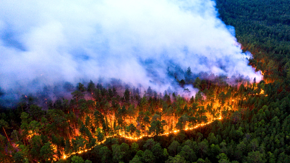 Лесной пожар в Красноярском крае, 17 июля 2020 года.