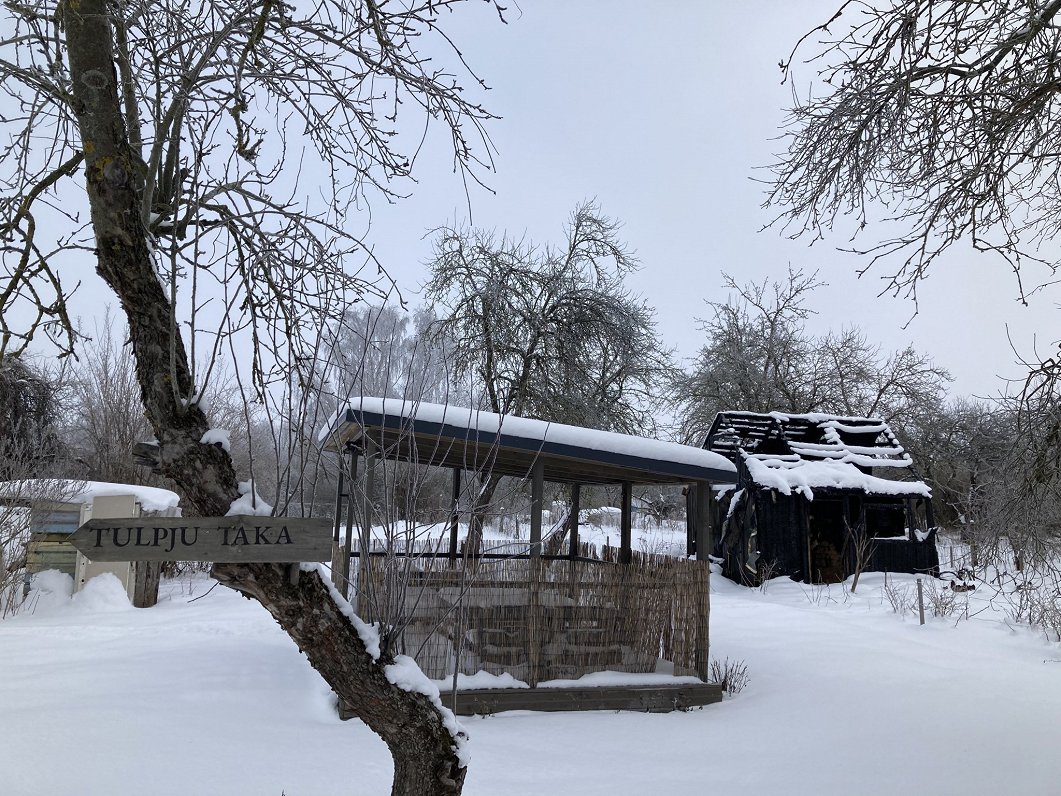 Садовые домики на Луцавсале, февраль 2021 года