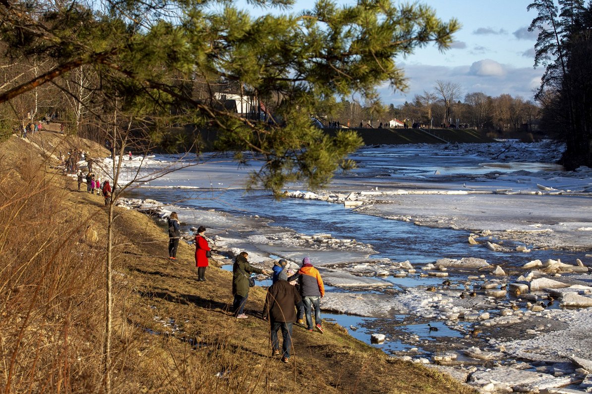 Ledus iešana Ogres upē pie Ogres. 2021. gada februāris.