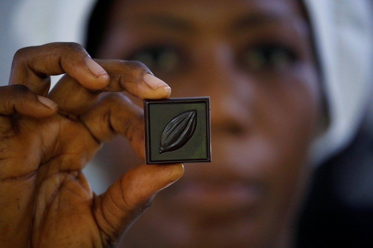 Kakao pupiņas, no kurām ražo šokolādi, ir galvenā Kotdivuāras eksporta prece