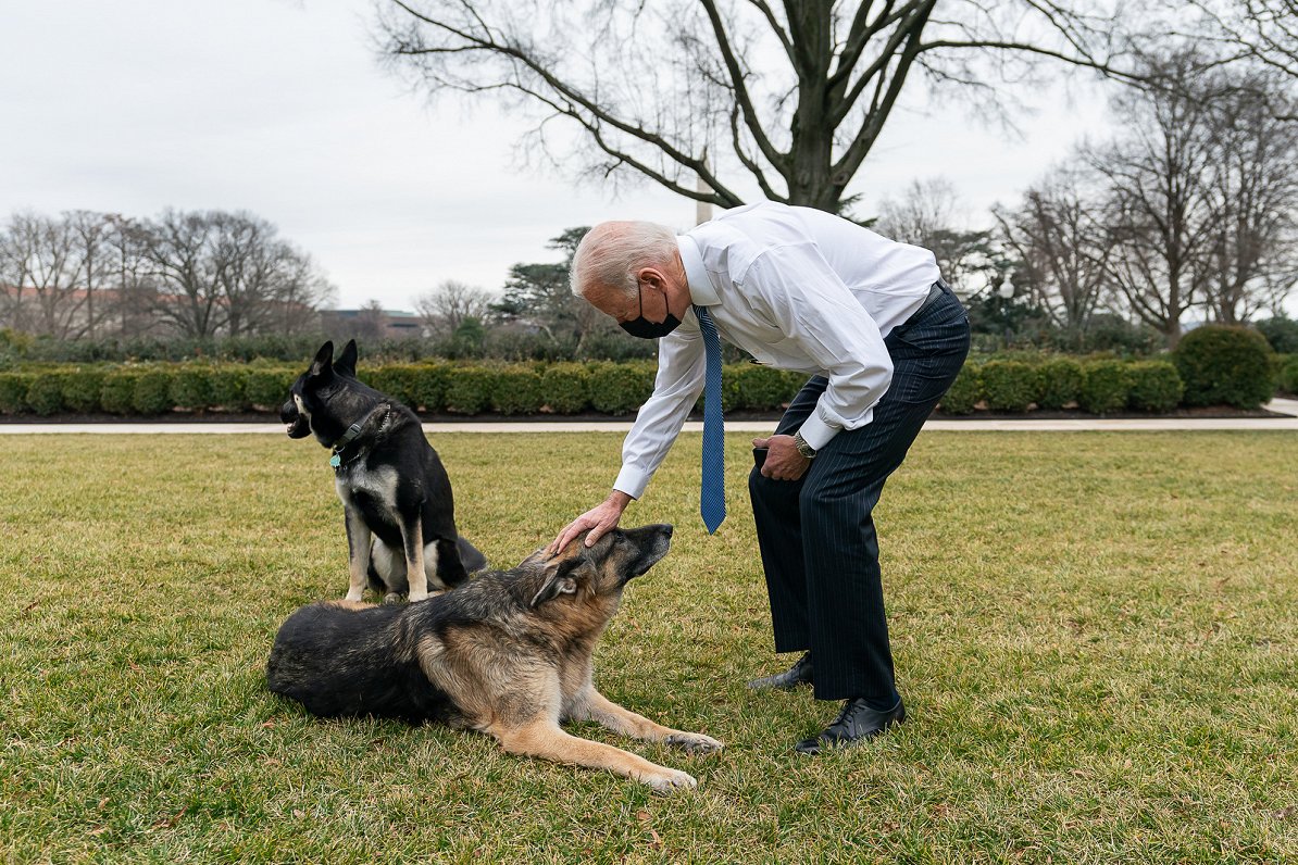 ASV prezidents Džo Baidens ar suņiem Čempionu un Majoru
