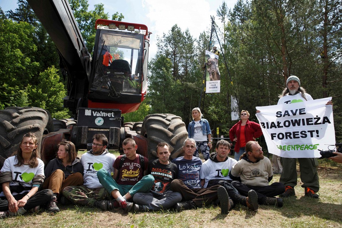 Vides kustības &quot;Greenpeace&quot; aktīvisti protestē pret Belovežas gāršas izciršanu