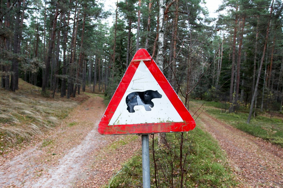 Roņu salas ceļa zīme, kas aicina uzmanīties no lāčiem