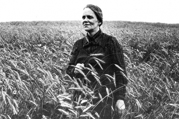 诗人维兹玛·贝尔塞维卡