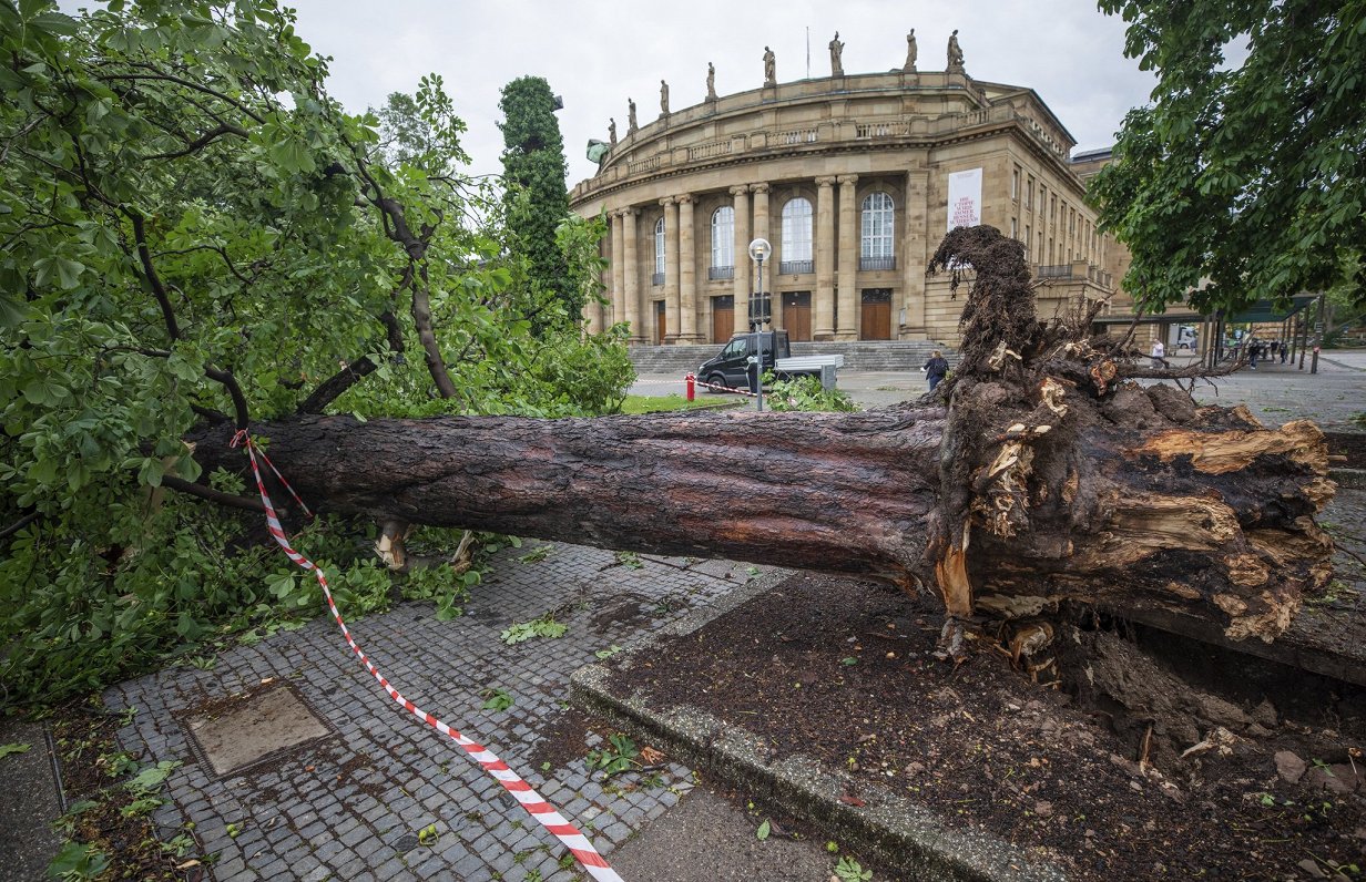 Vētras izgāzts koks pie Štutgartes operas