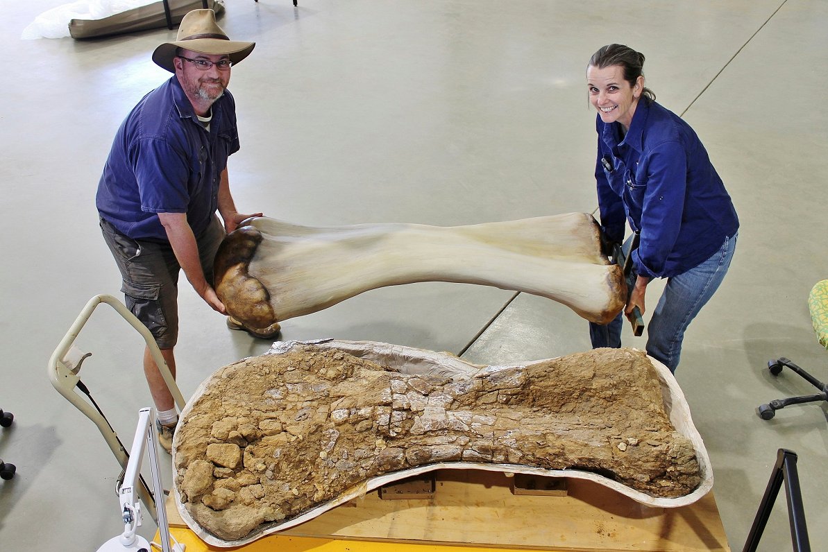 Makenziju pāris ar dinozaura kaula 3D rekonstrukciju.