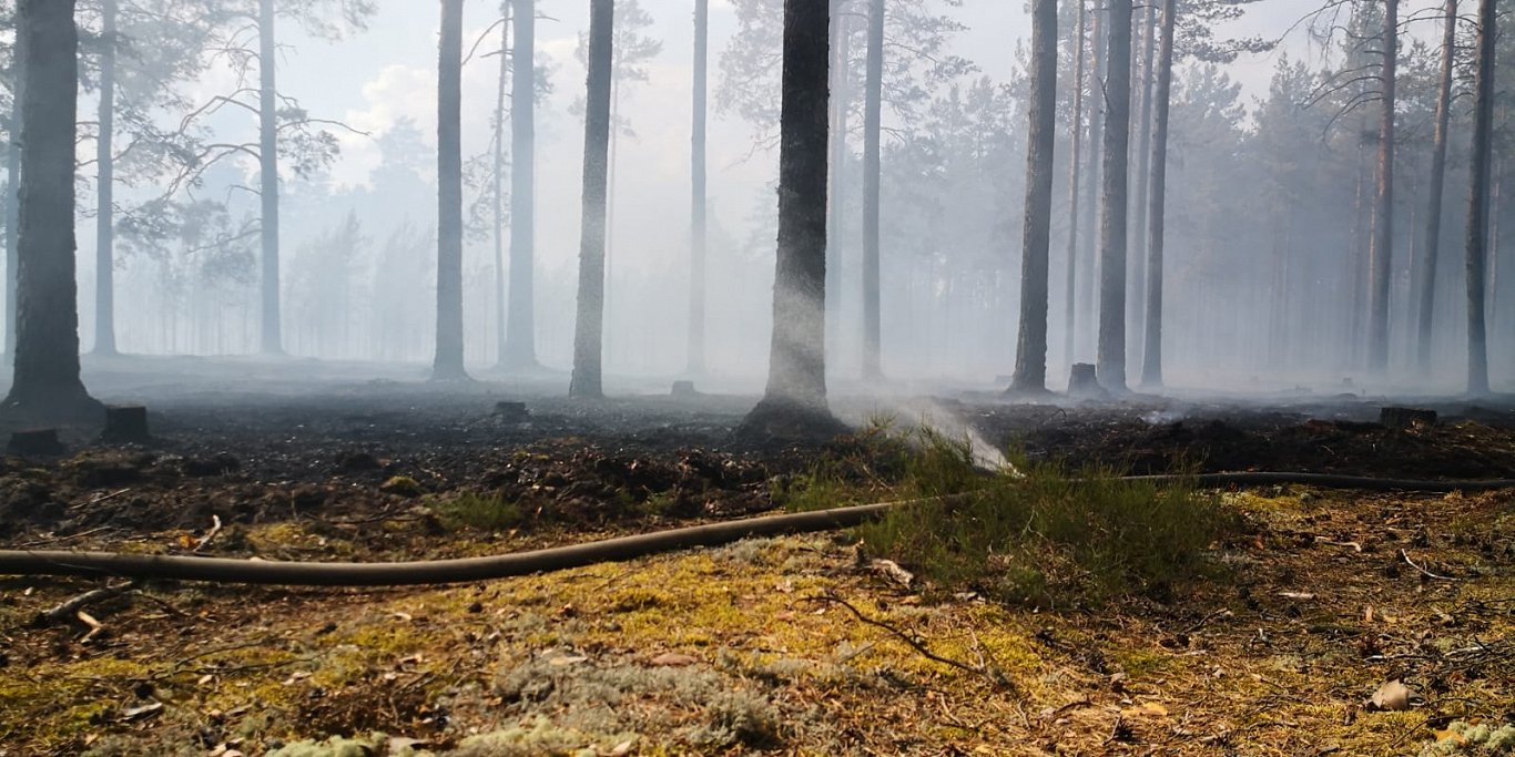 В отличие от Курземе в Рижском регионе не обошлось без большого лесного пожара