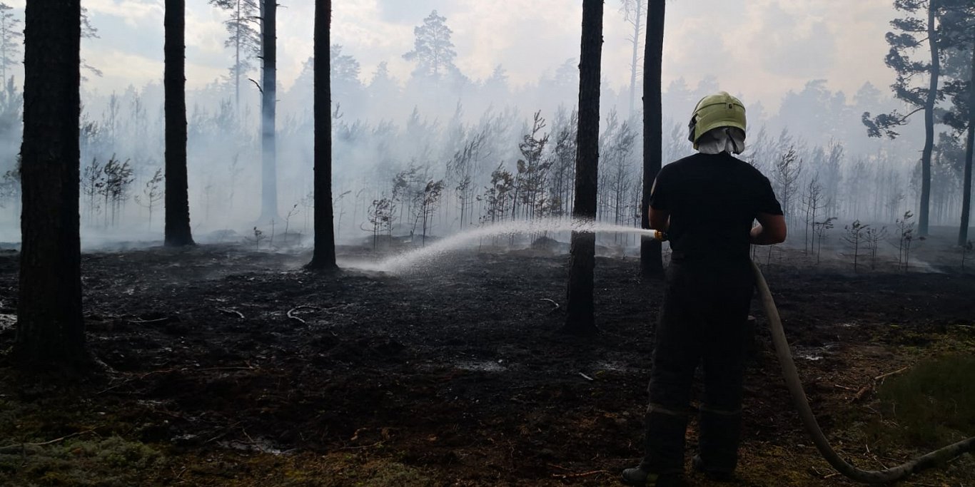 Meža ugunsgrēka dzēšanas darbi Garkalnē 2021. gada jūlijā.