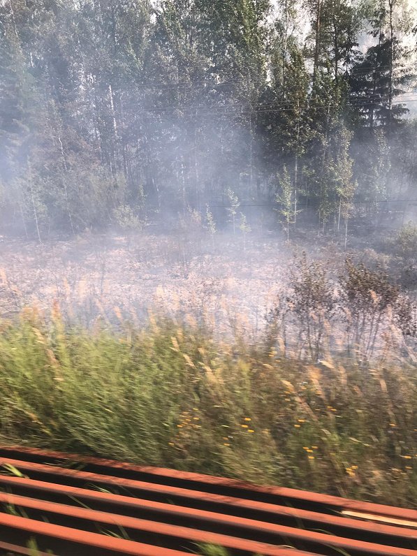 Siguldas novadā gar dzelzceļu deg sausā zāle, 16.07.2021.