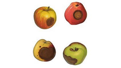 Ilze Orinska. &quot;Četri iepuvuši āboli&quot;. 2008.