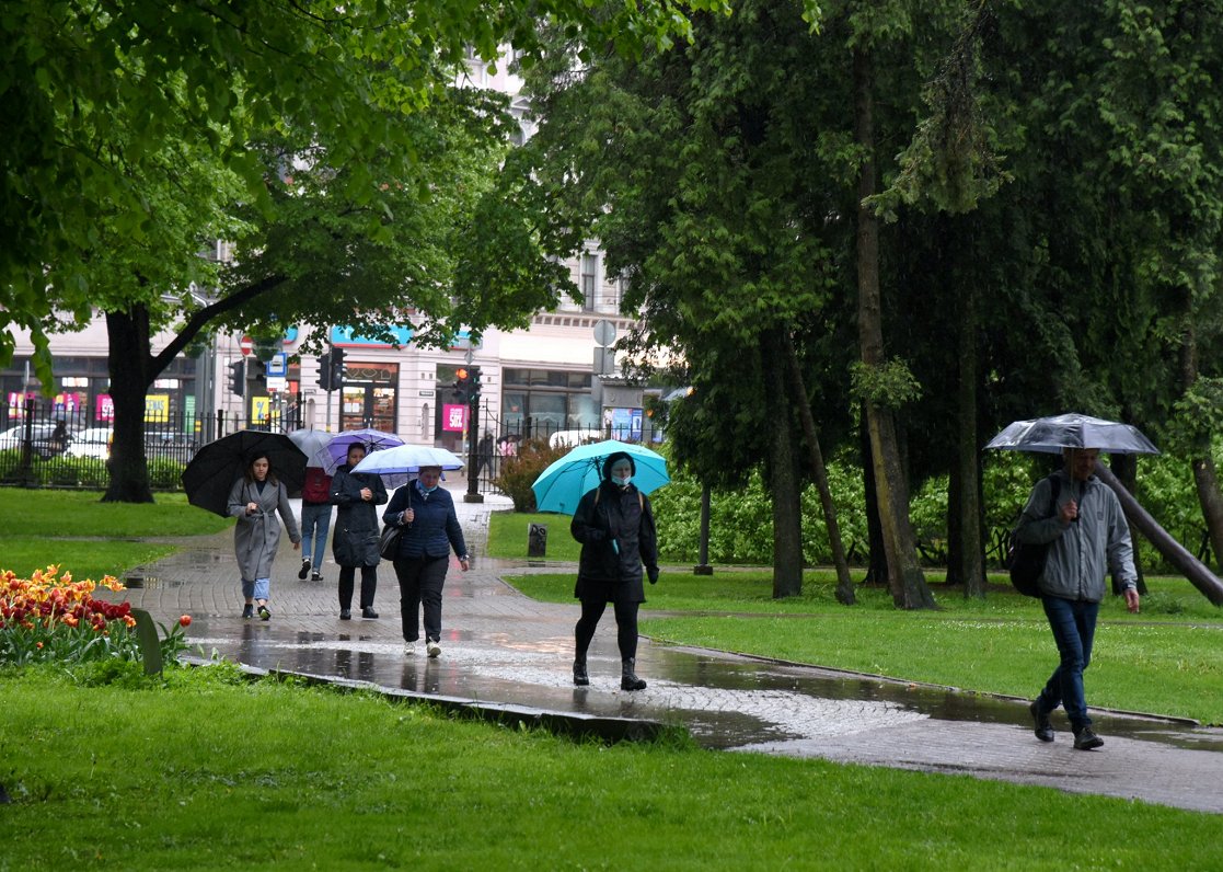 Люди во время дождя в Риге