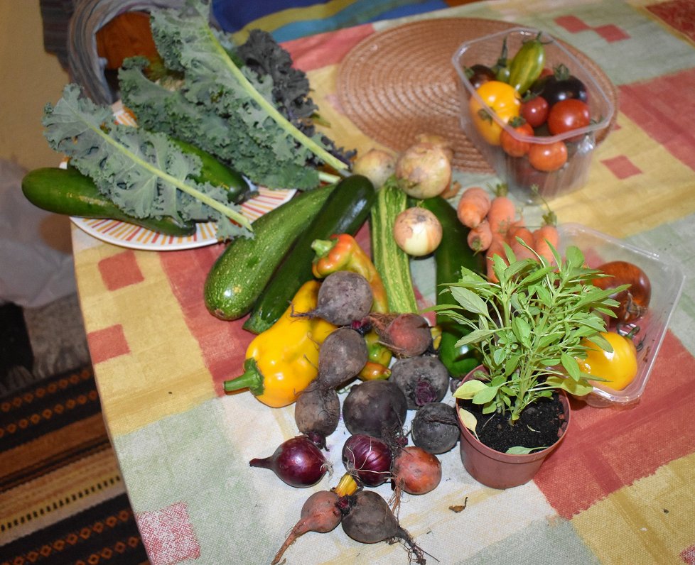 'Kalnadruvas' farm vegetable box
