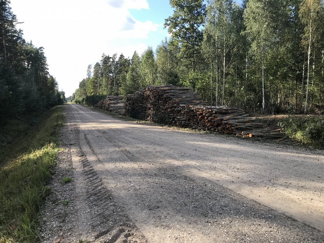 Kokmateriāli, kas sagatavoti “Latvijas valsts mežu” apsaimniekotajos valsts mežos.