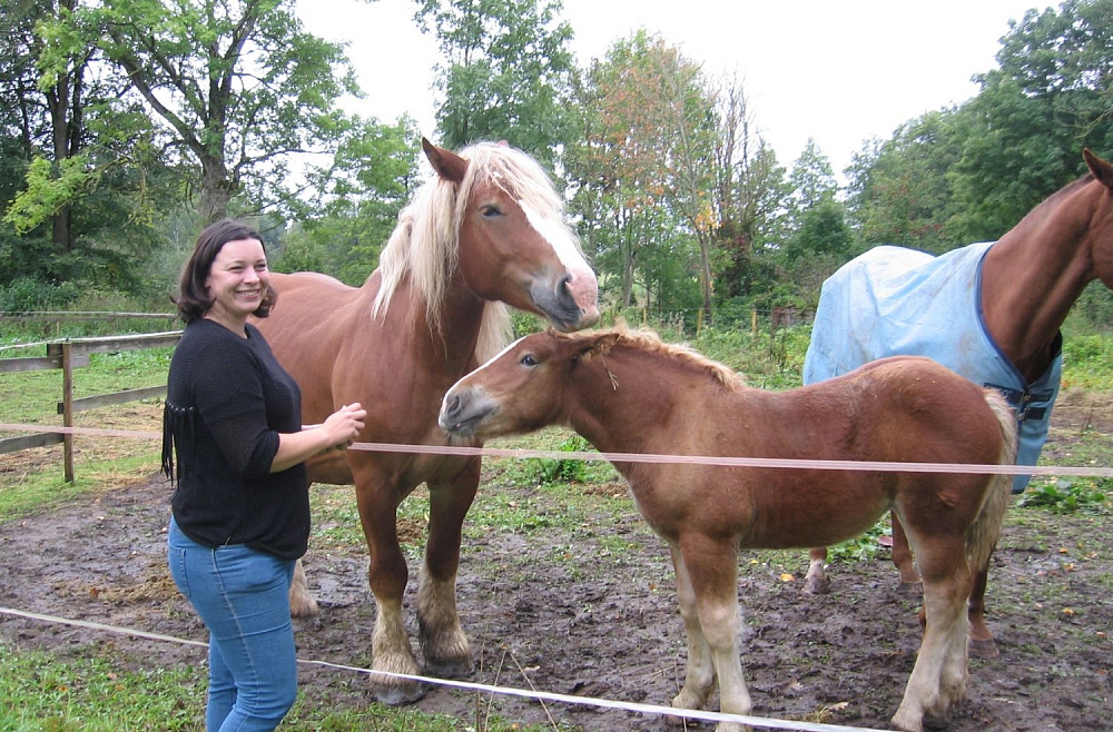 Anna Kalnāja Zasas pagasta «Bērzzemniekos» audzē zirgus un izveidojusi viesu māju
