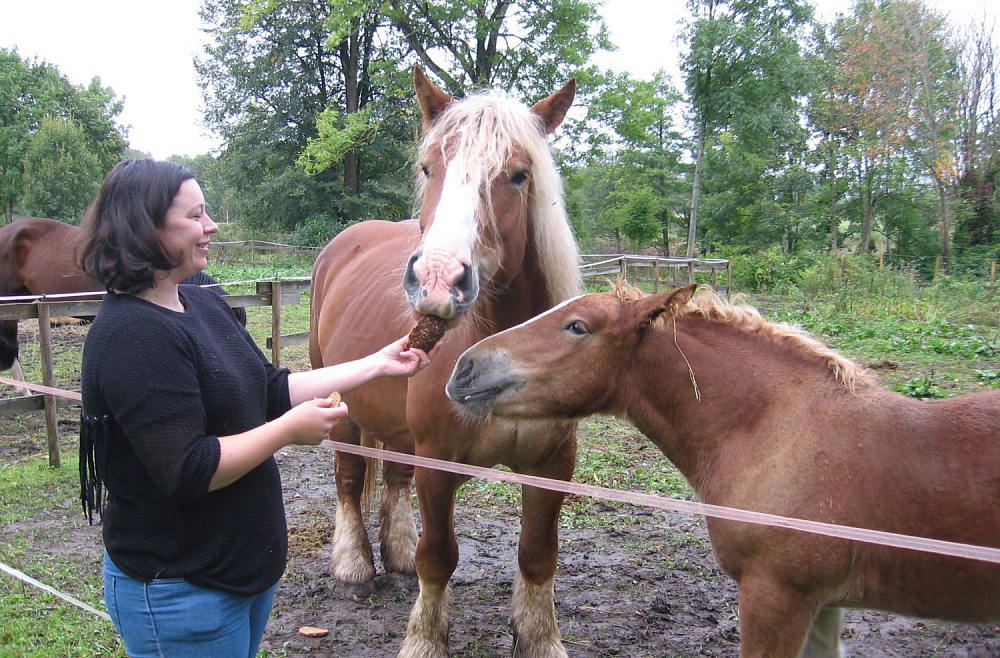 Anna Kalnāja Zasas pagasta «Bērzzemniekos» audzē zirgus un izveidojusi viesu māju
