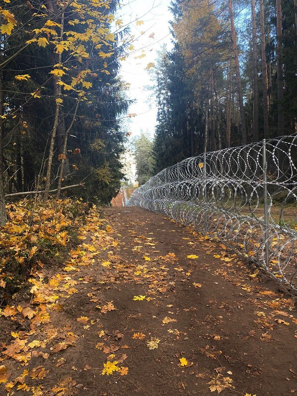Pagaidu dzeloņstiepļu žogs uz Latvijas-Baltkrievijas robežas, 2021.gada oktobris.