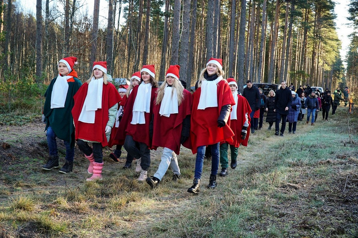 Rīga municipal Christmas tree selection, 2021