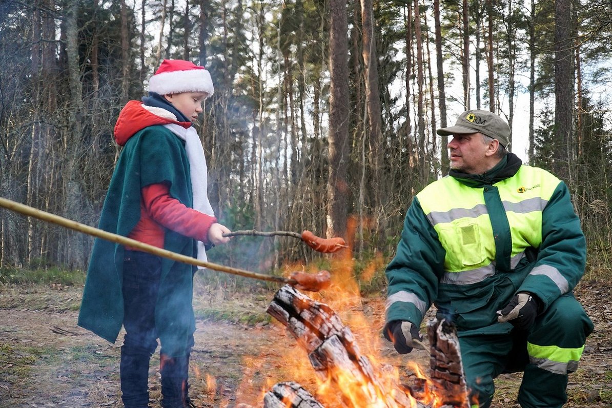 Rīga Christmas tree selection 2021