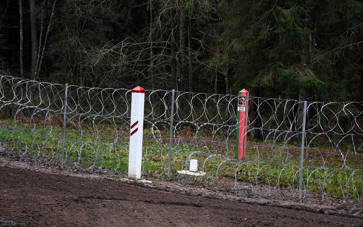 Забор из колючей проволоки на латвийско-белорусской границе.