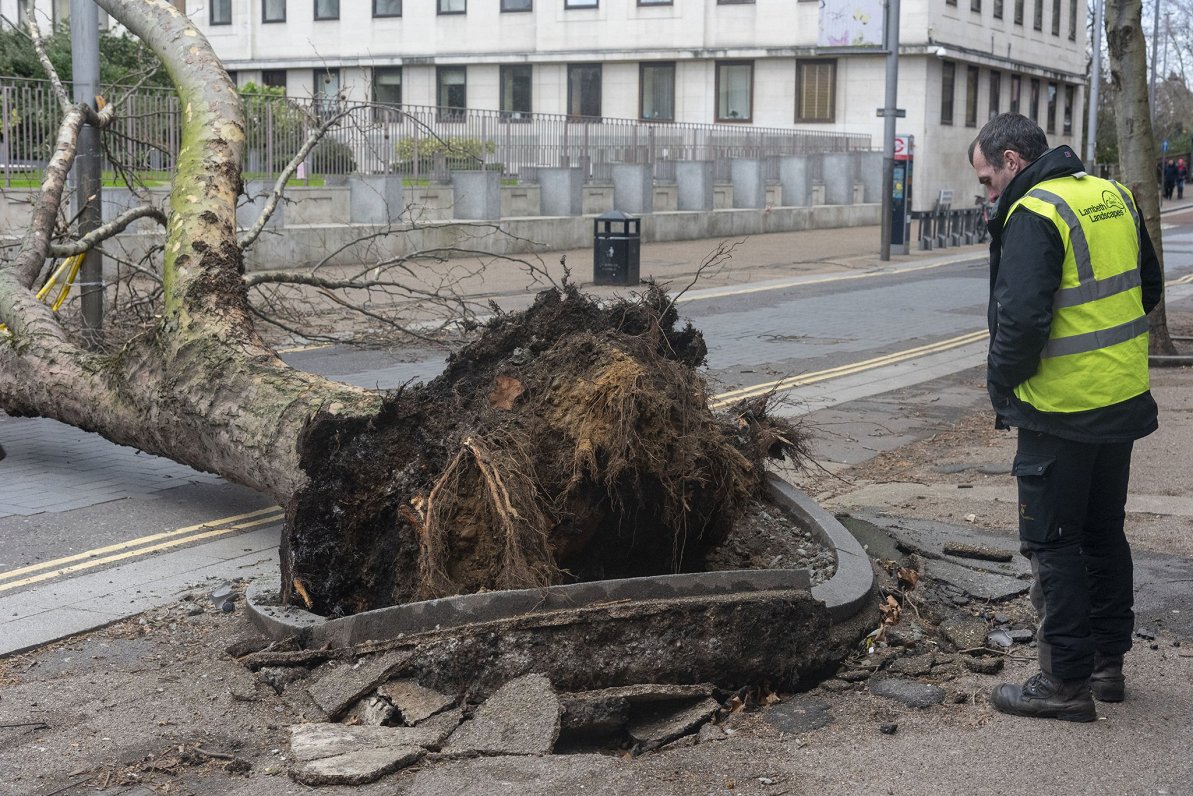 Vētras izgāzts koks Londonā